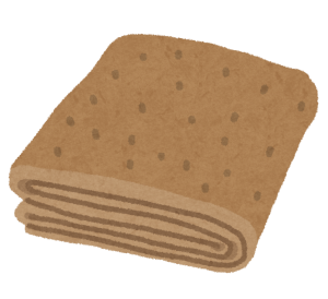 毛布にカビが生えてしまったときは洗っても大丈夫